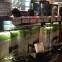 photo (5)